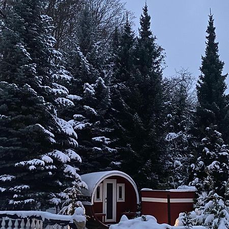 Gaestehaus Gaens - Ferienzimmer Daire Schirgiswalde-Kirschau Dış mekan fotoğraf